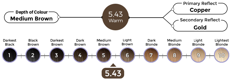 5-43-portofino-brown-3